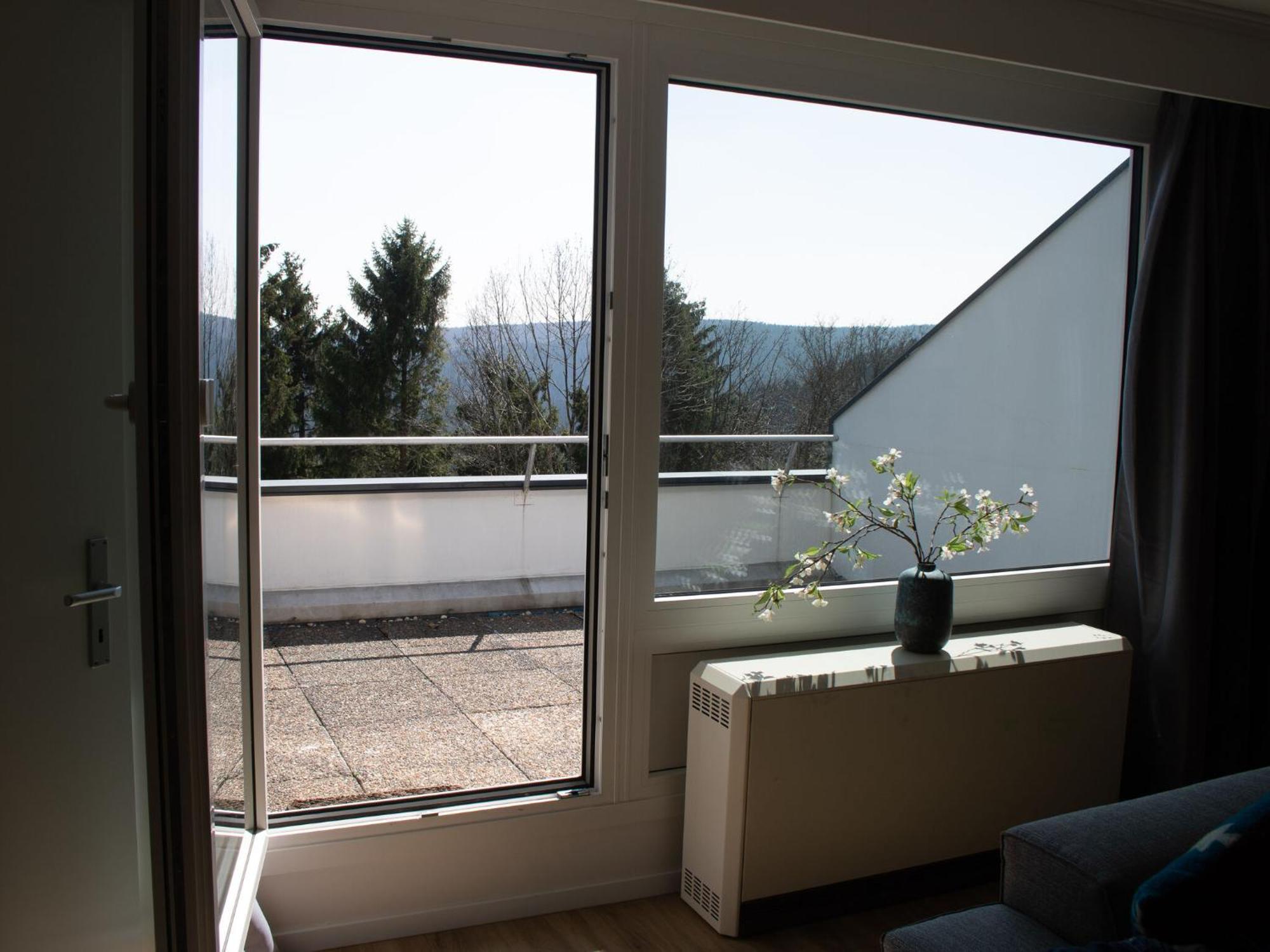 Apartment Modern In With Swimming Pool Winterberg
